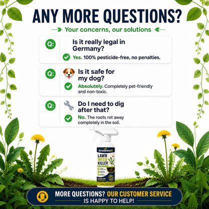⚡ [Easy & Stress-Free Yard Cleanup] Domestic Weed Killer Spray | Fast-Acting Root Remover for Garden, Patio & Driveway